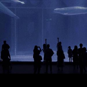 少妇被人干下面
