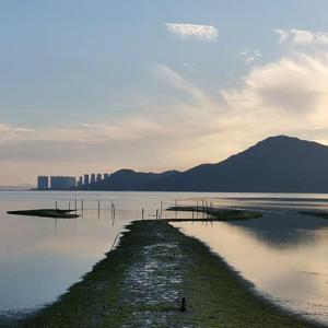 少妇被人干下面
